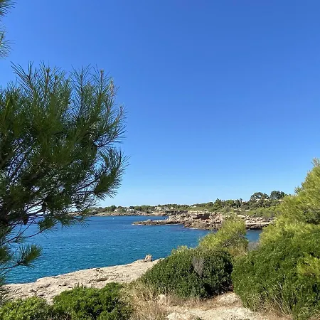 Buena Vista - 5 Bedroom Fully Air-conditioned With Private Swimming Pool * L'Ametlla de Mar